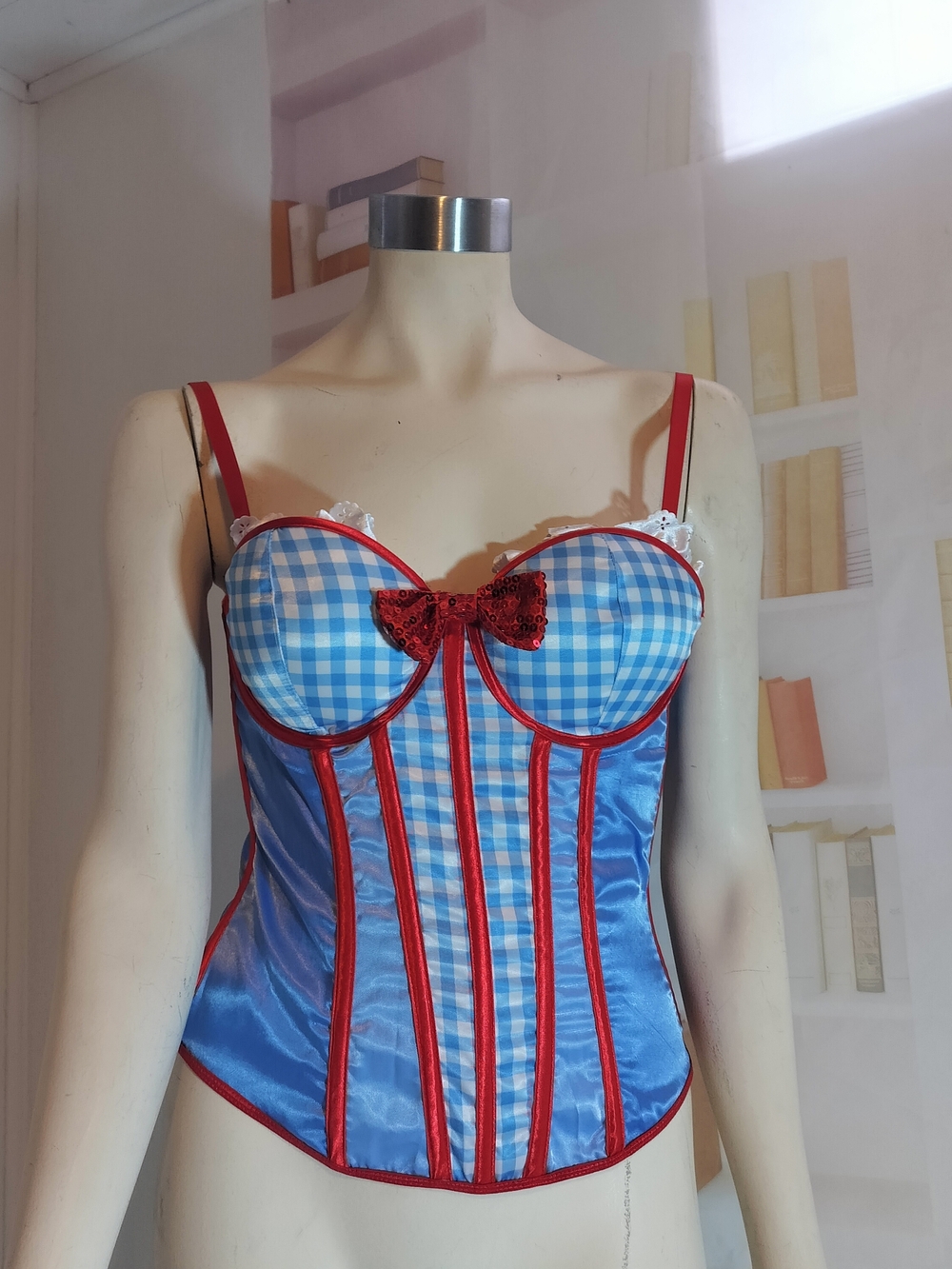 Amscan Blue Gingham Satin Bustier with Red Trim